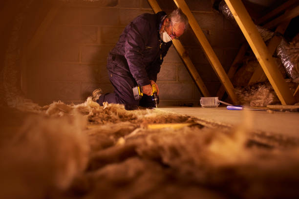 Best Specialized Insulation Services in Leitchfield, KY